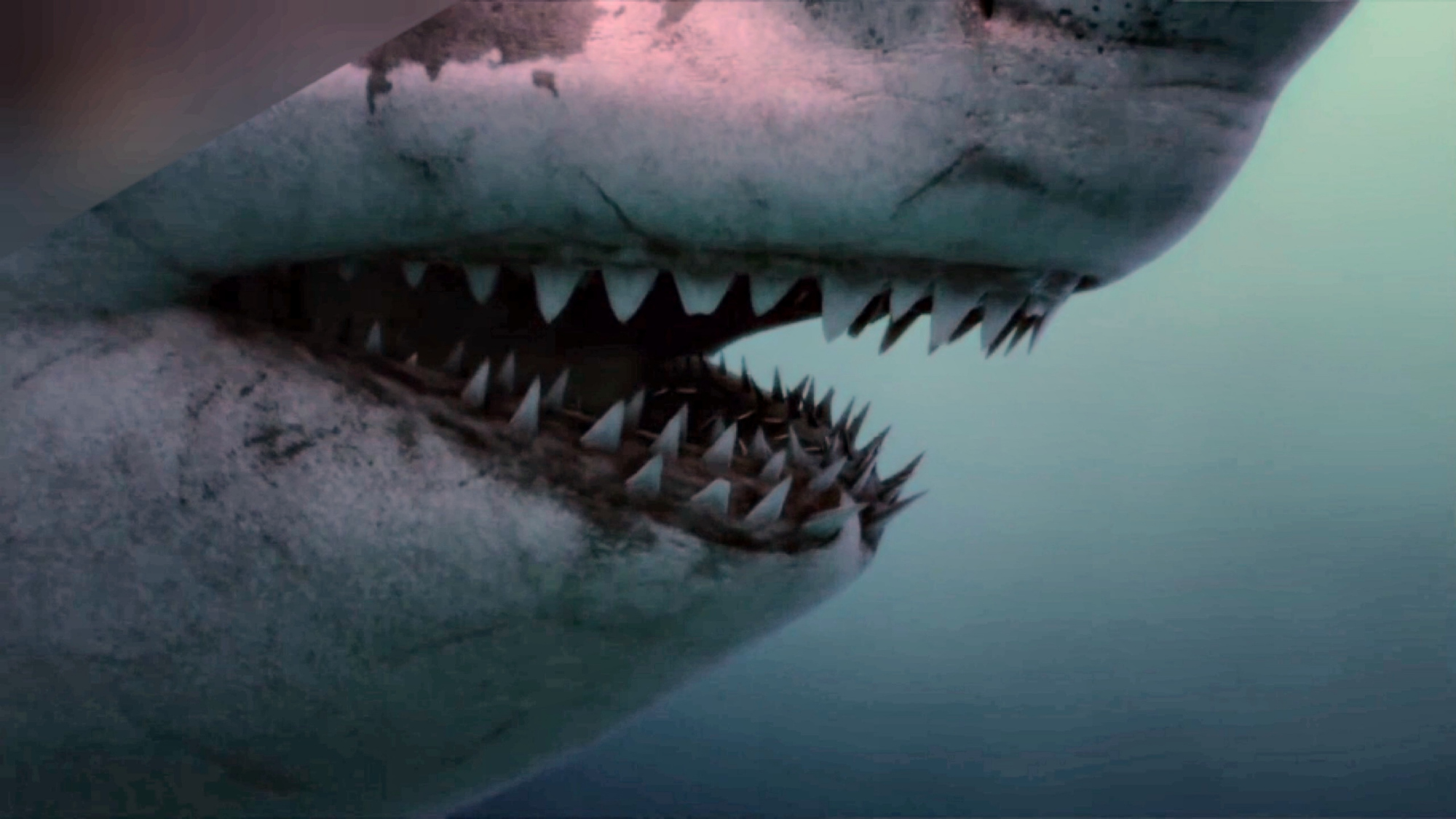 远古海洋霸主巨齿鲨,统治海洋1000万年,力量超过霸王龙为何灭绝