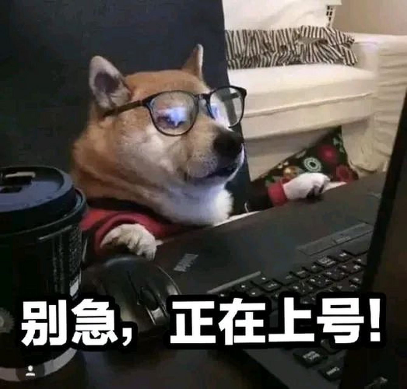 如果你无权无势,请记住这6个电话,比110还管用6