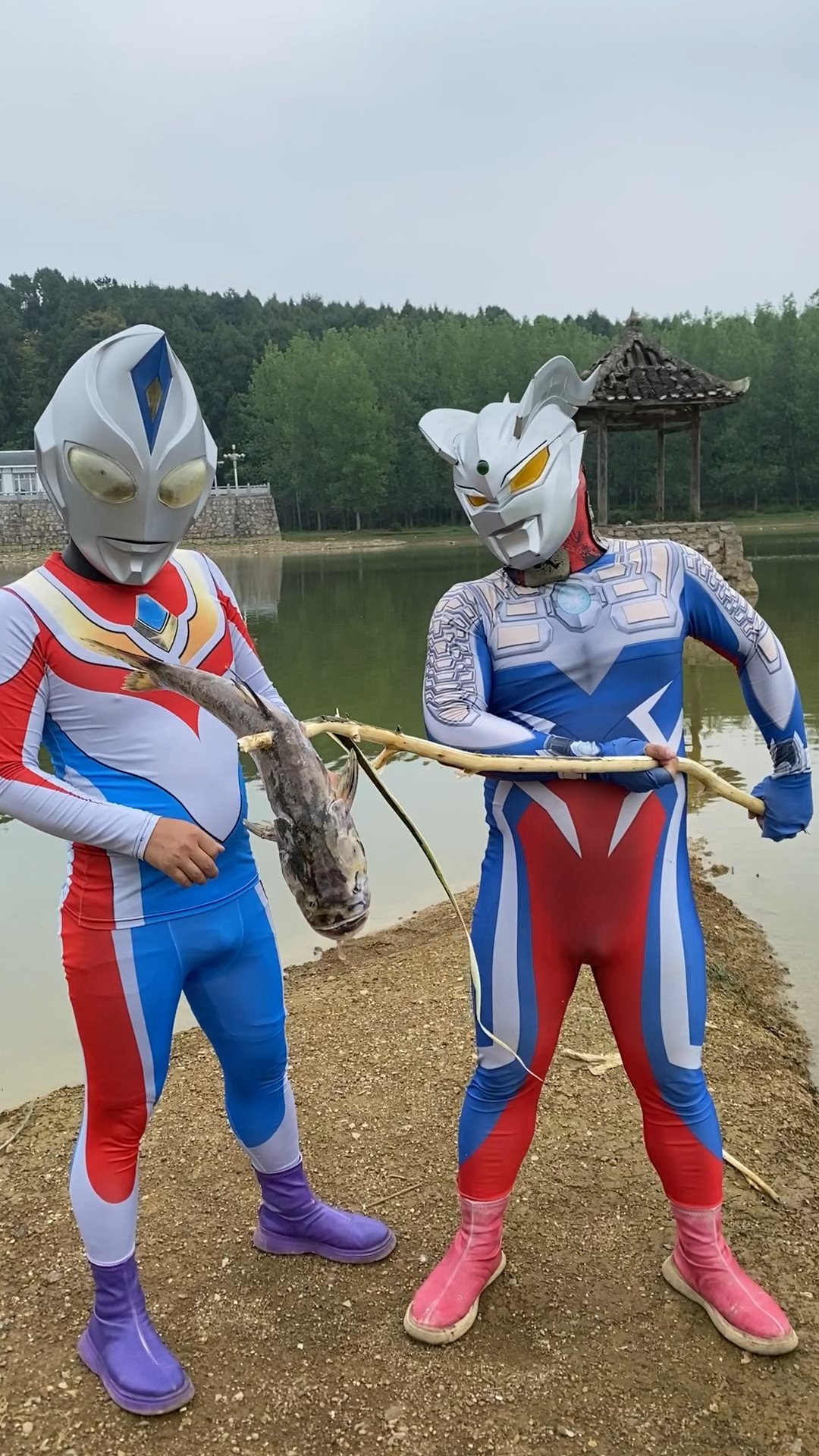 野生奥特曼第984集