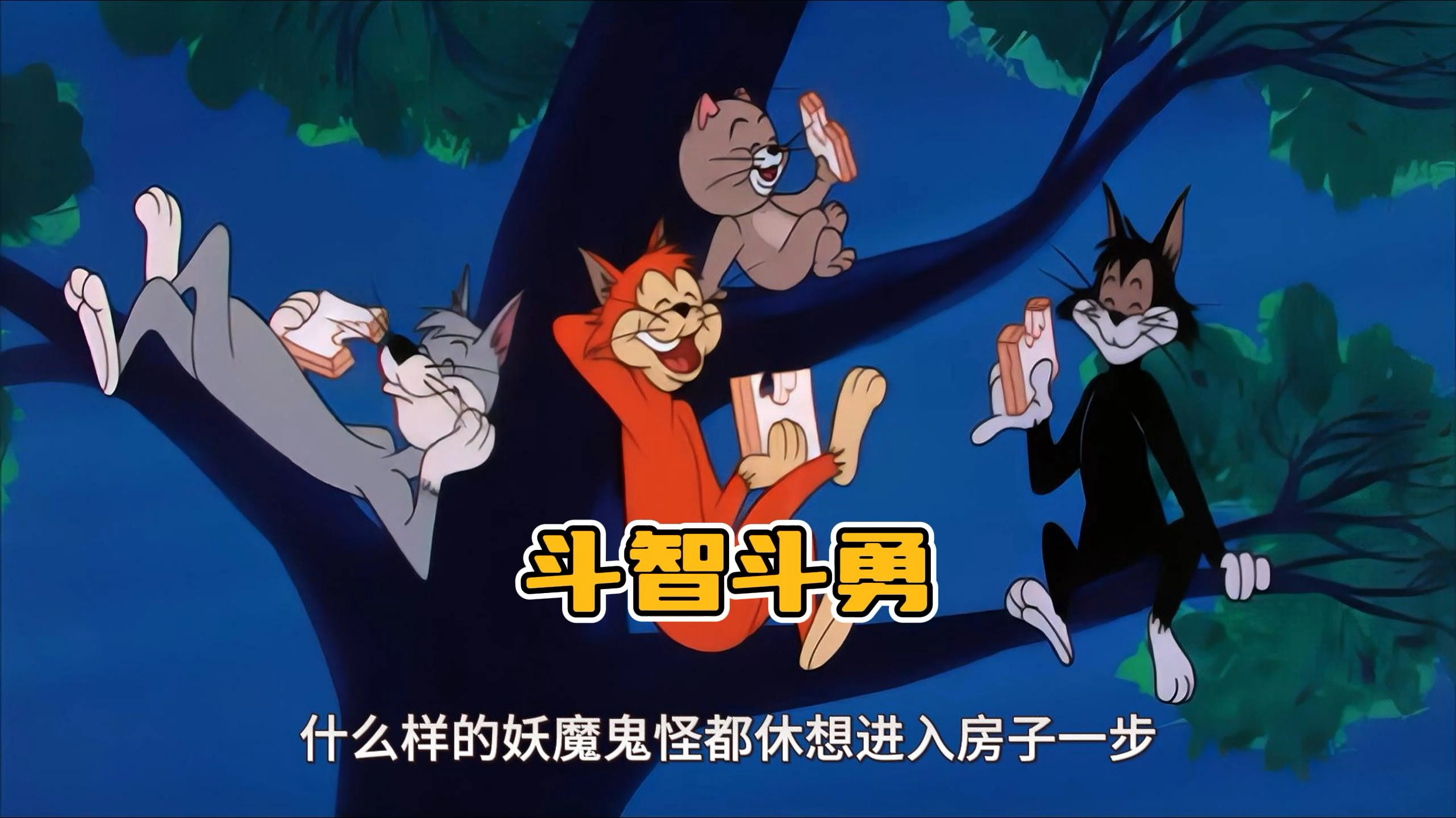 斯派克与野猫斗智斗勇