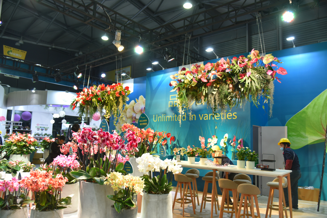 第25届中国国际花卉园艺展览会开幕