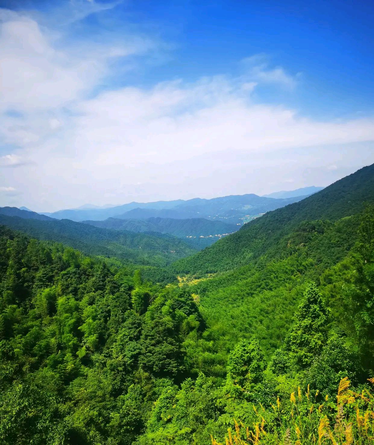 作为上饶著名道家朝拜圣地一一葛仙山一直是周边省份如安徽福建