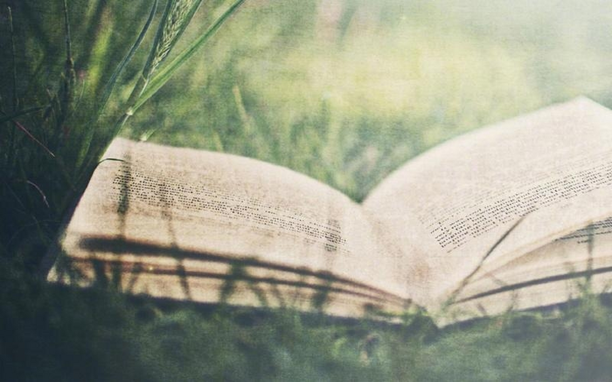 确信自己站在正确的道路上,并且坚定不移的走下去.