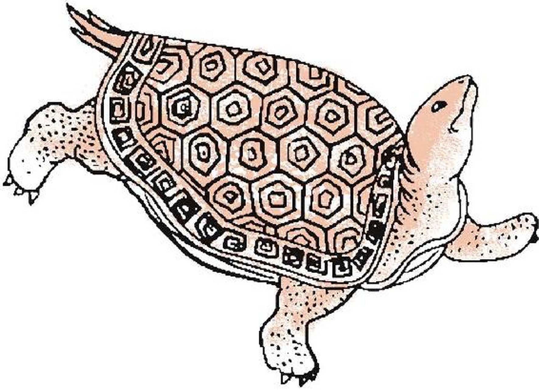 传说在上古时,赑屃常背起三山五岳兴风作浪,后被夏禹收服,为夏禹立下