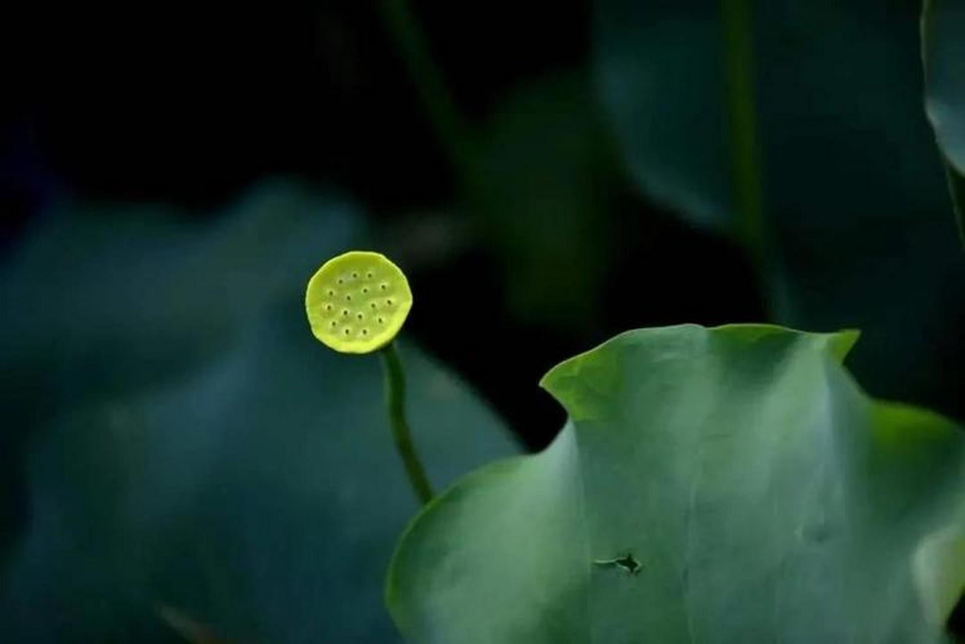 佛说:"智者不入爱河,愚者为情所困.色是身的消耗,情是心的消耗.