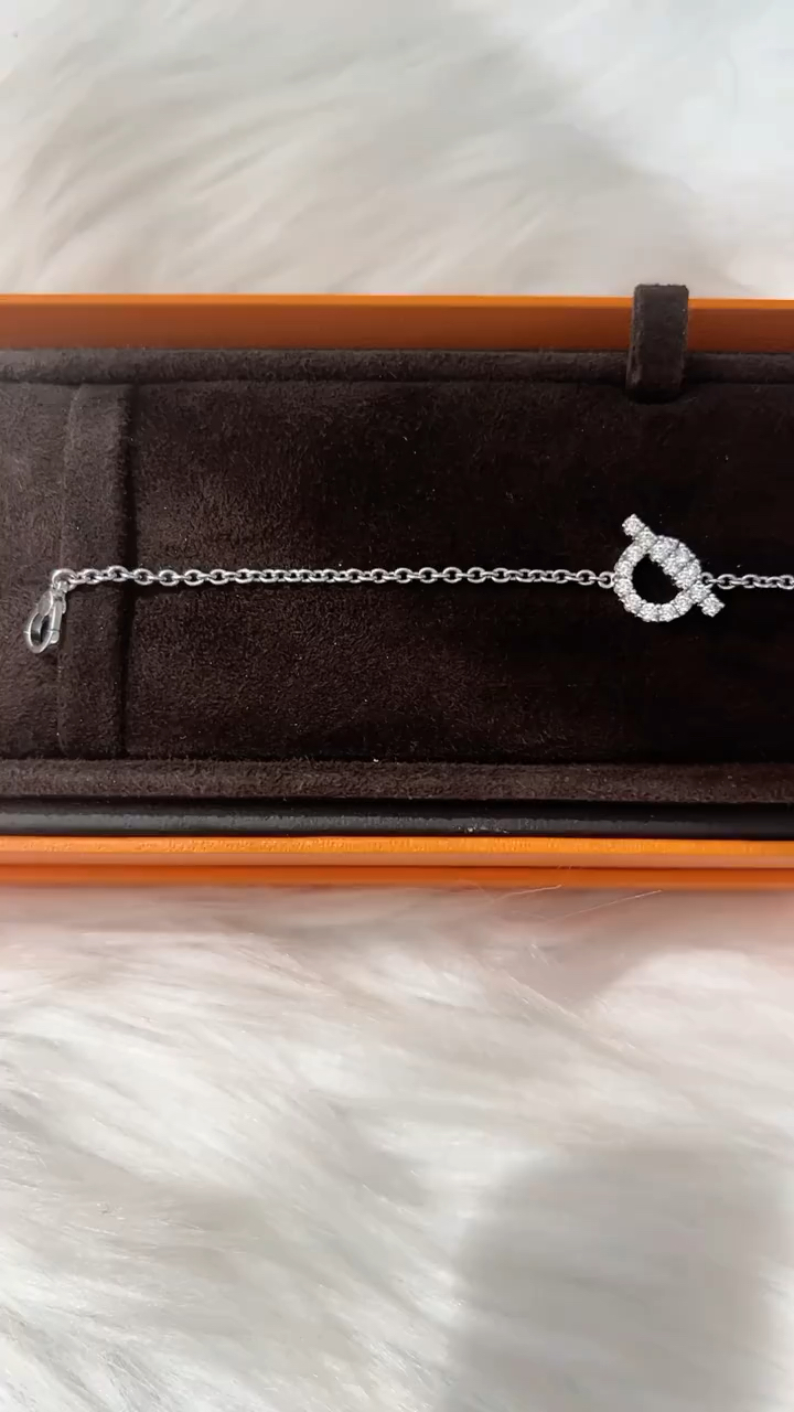 爱马仕 小q钻石项链#项链#奢侈品#同城