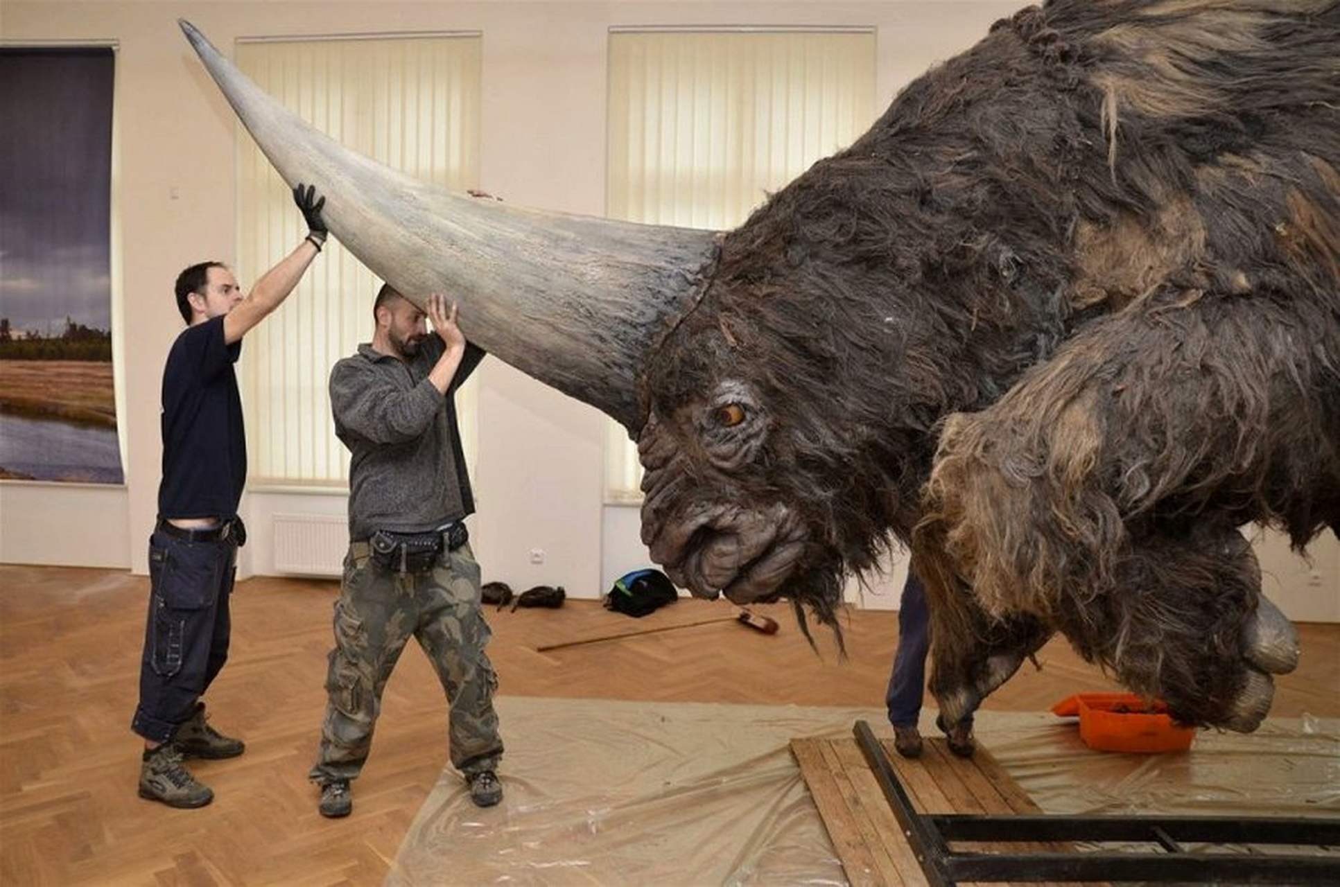 西伯利亚独角兽化石图片