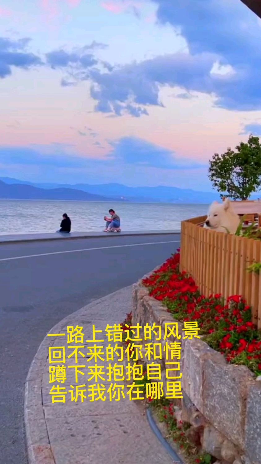 回头看看一路上错过的风景,擦肩而过的人,难过的时候,蹲下来抱抱自己