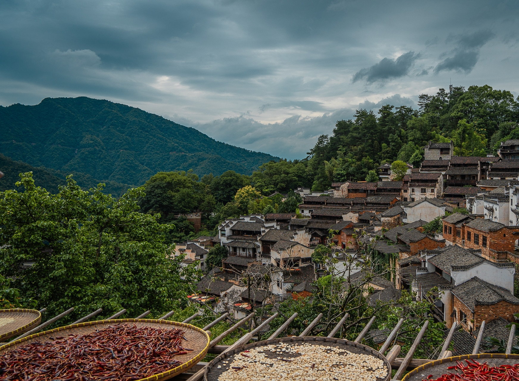 夏天去到江西婺源篁岭古村旅行,你依然会发现古村沿山崖的屋檐上,一只