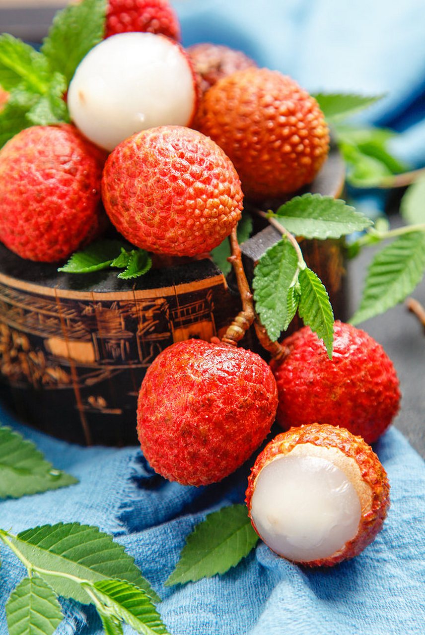 语短情长,海南四大才子丘浚一首小诗写出对家乡的思念和热爱.