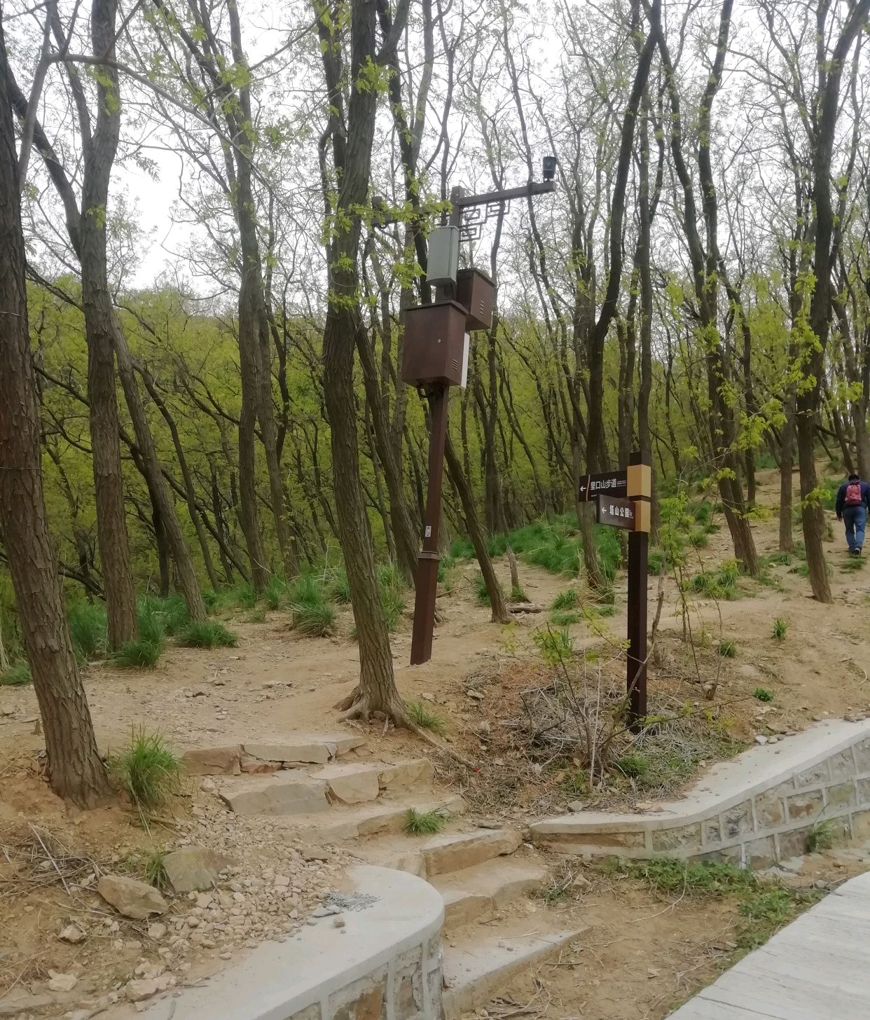 里口山登山步道线最短图片