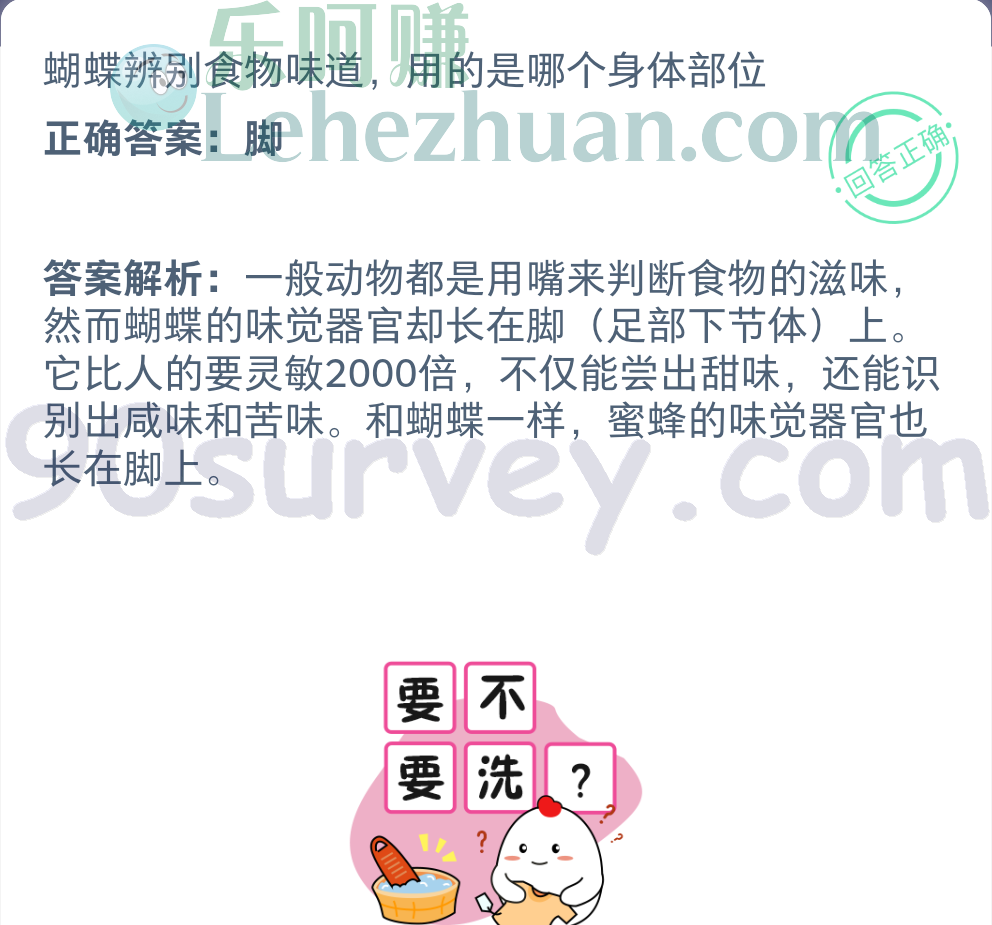 蝴蝶辨别食物味道用的是身体哪个部位？正确答案：脚