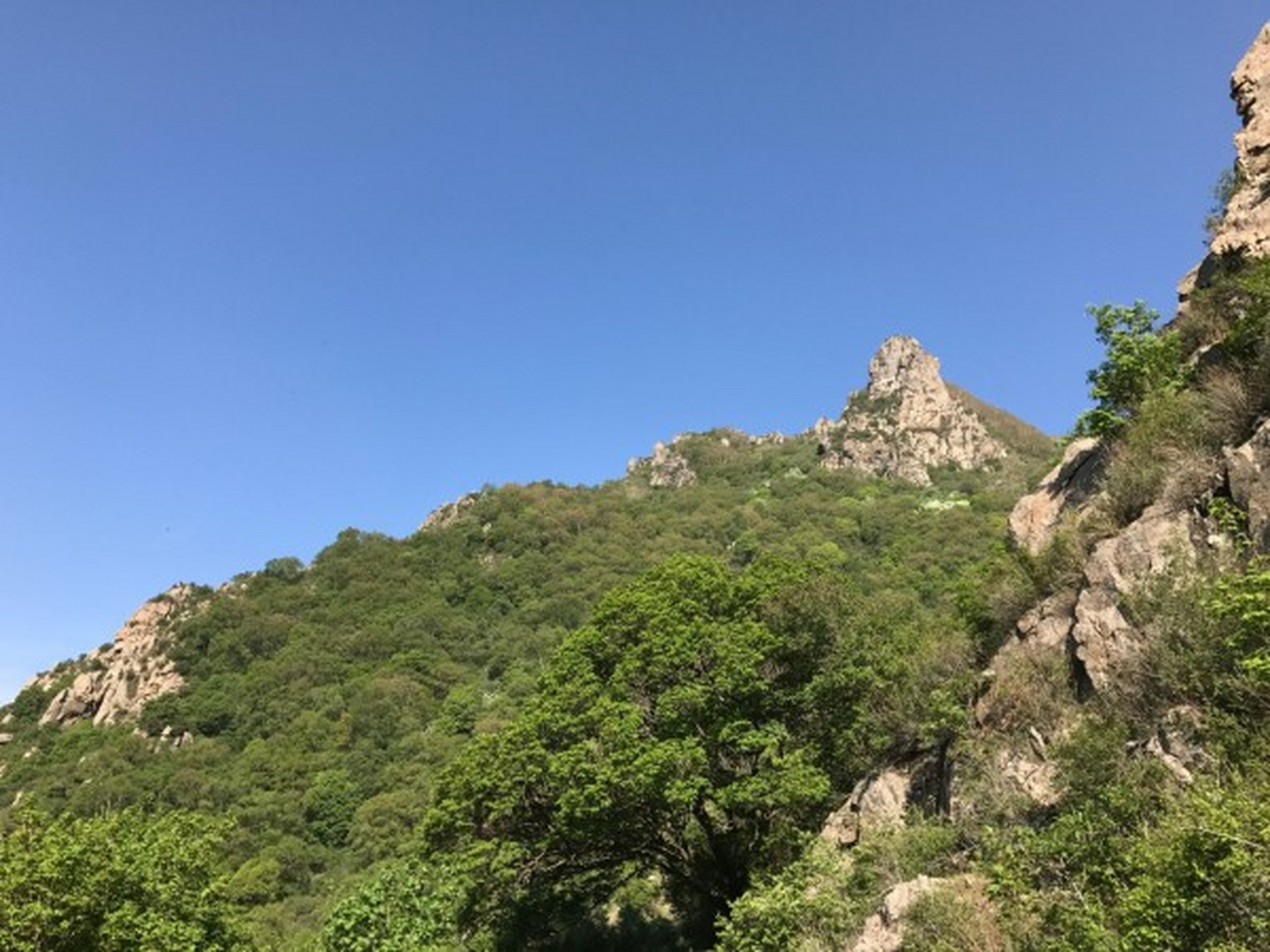 宜阳灵山,位于河南省郑州市宜阳县境内,是中国黄河文化发源地的正西北