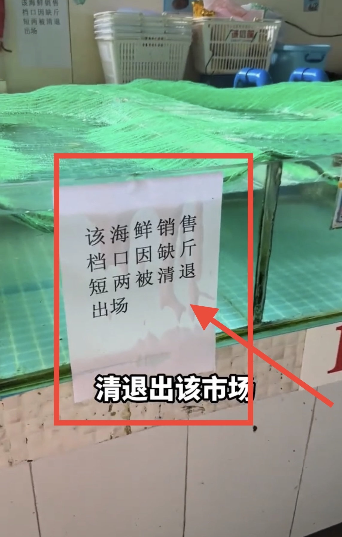 三亚海鲜市场宰客,一斤海鲜只有五两:100万粉丝博主揭露黑幕