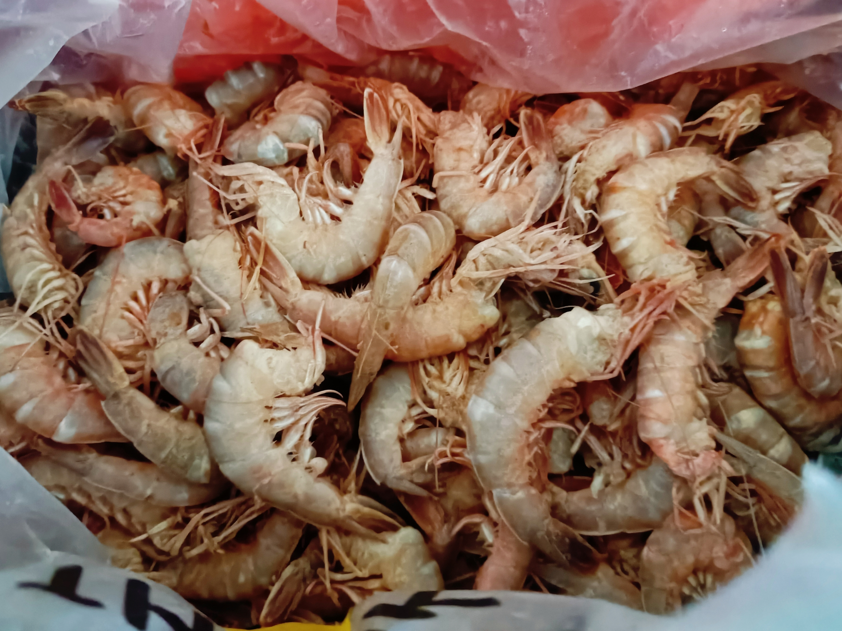 天津人爱吃海鲜,50元买了三斤的铁皮虾 三斤的无头铁皮虾,足足剥了六