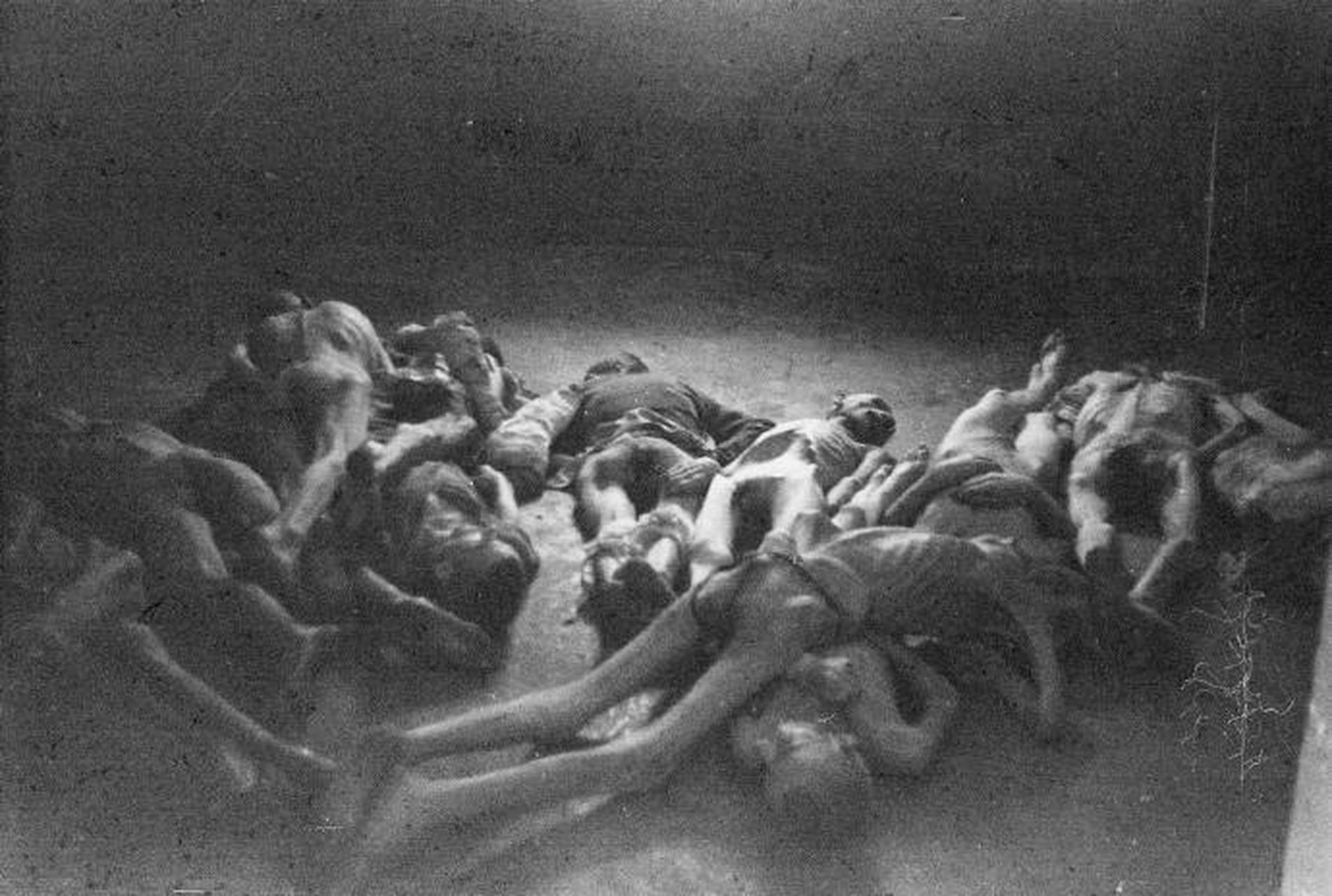 很多人说正是因为犹太人发战争财,才导致在第二次世界大战爆发后,无数