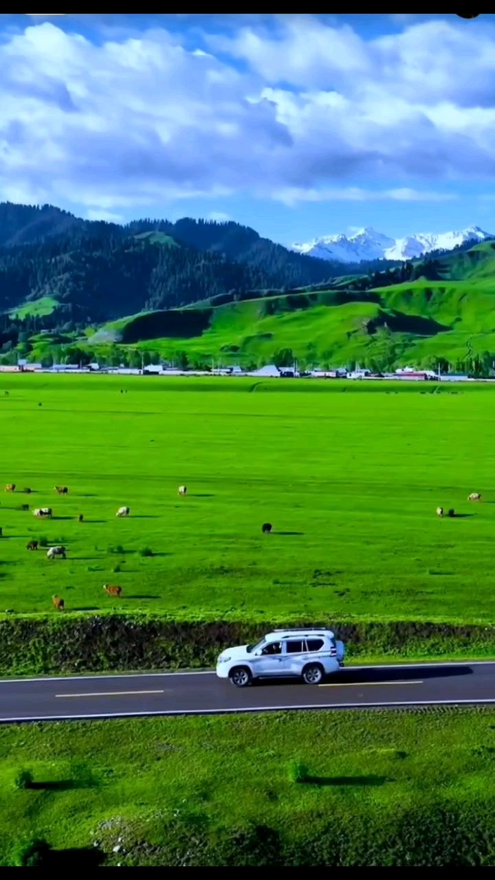 720_1280竖版 竖屏