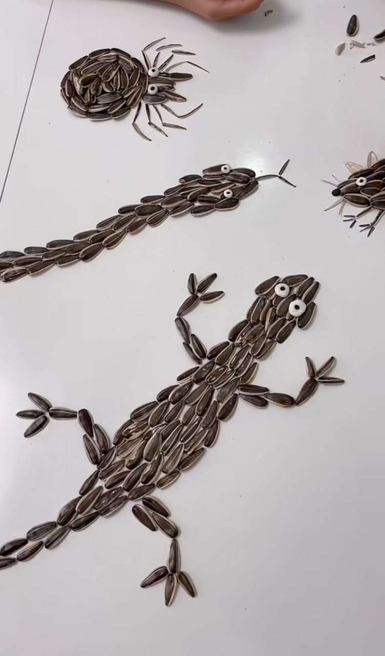 小姑娘这么多奇思妙想,硬是把瓜子玩成了艺术!小动物栩栩如生!太棒了!