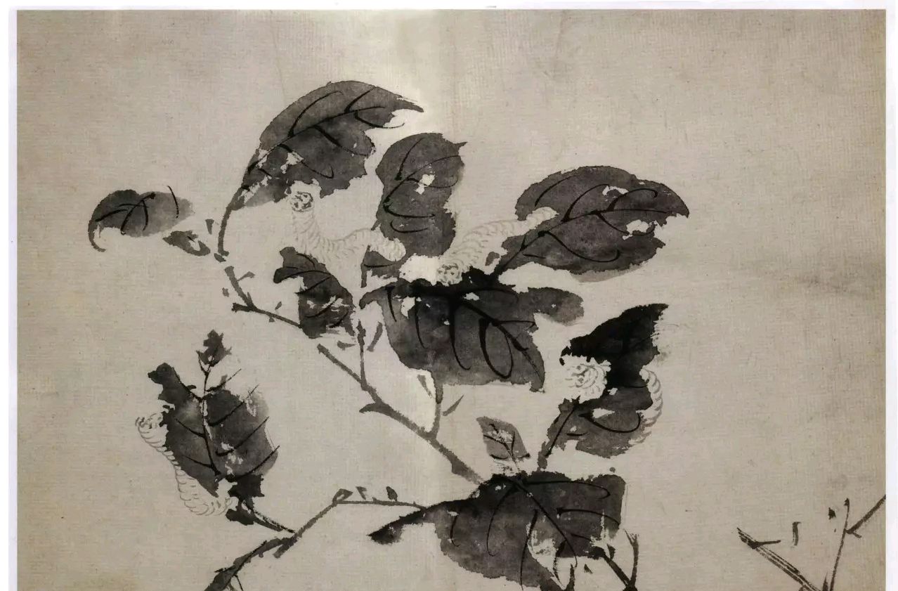 陈淳花鸟画,重笔墨气韵,重写意精神!