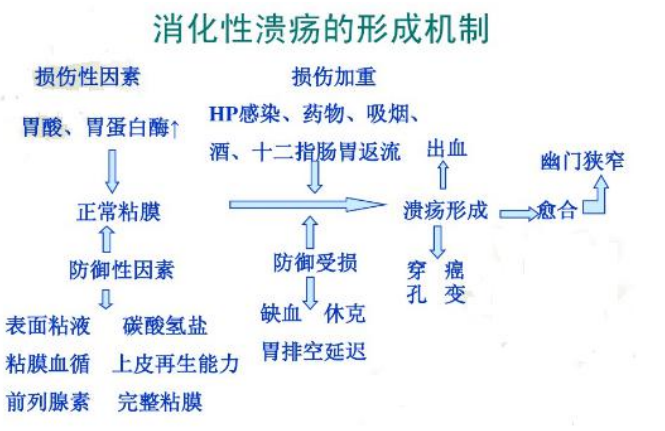 消化性潰瘍的營養治療