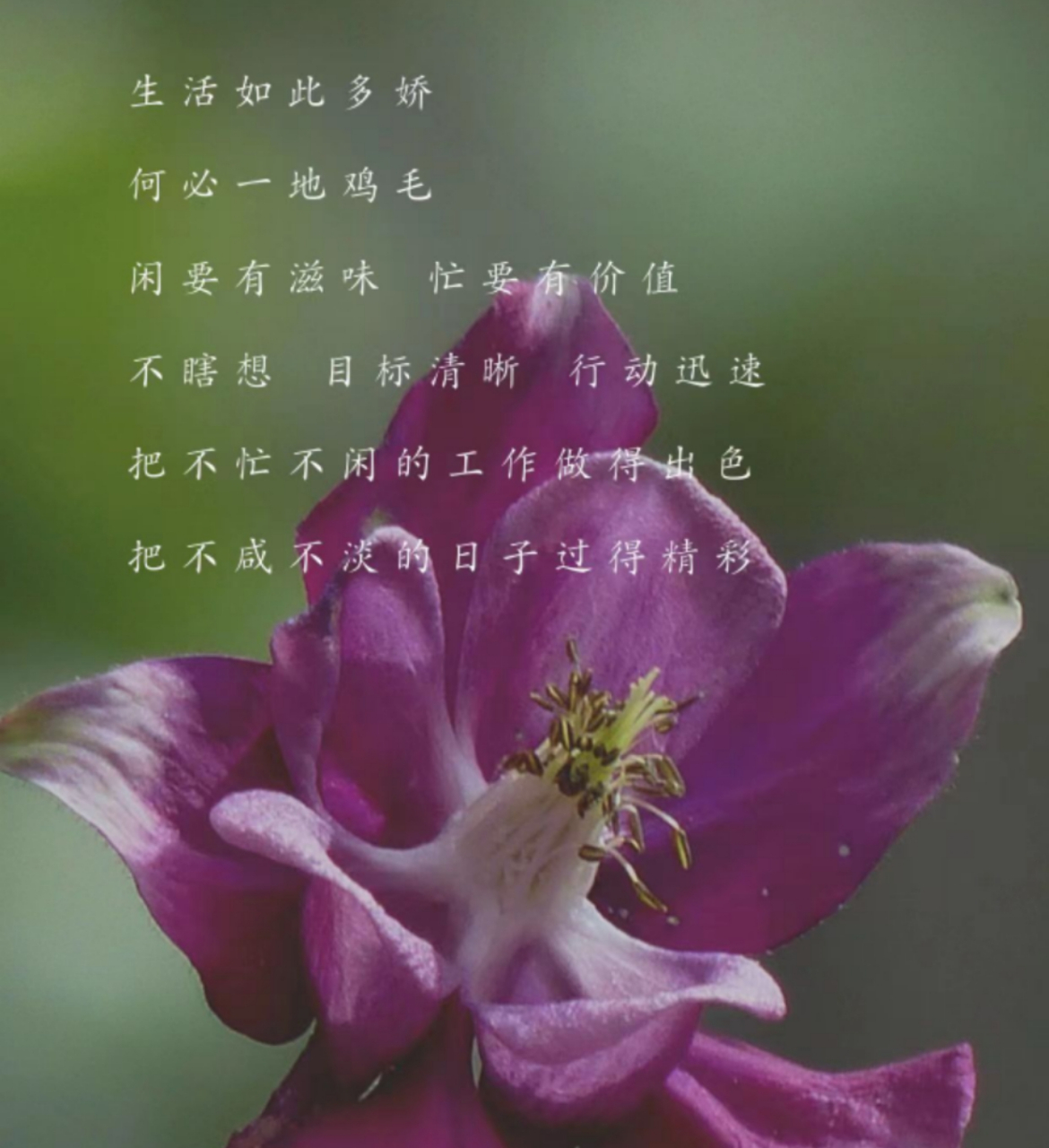 人生无常, 心安便是归处.