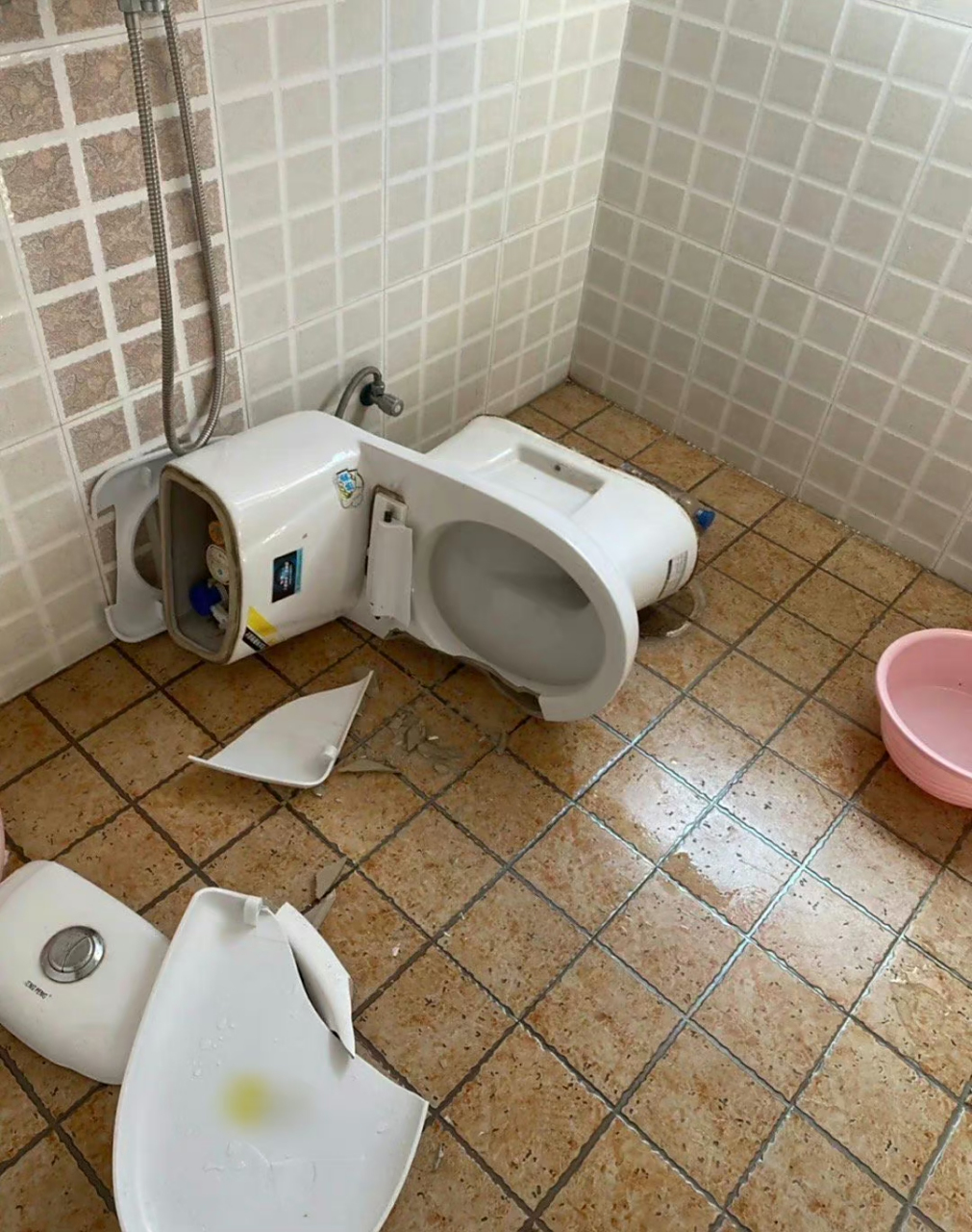 上厕所时千万不要蹲在马桶上,因为质量差点都不行,哈哈哈哈 #搞笑