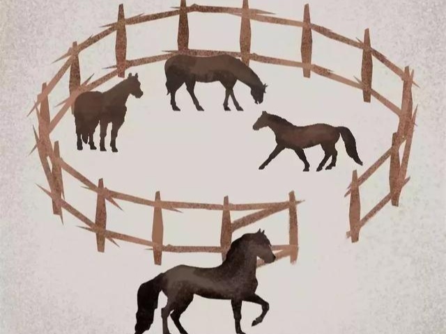 揭示选择的真相