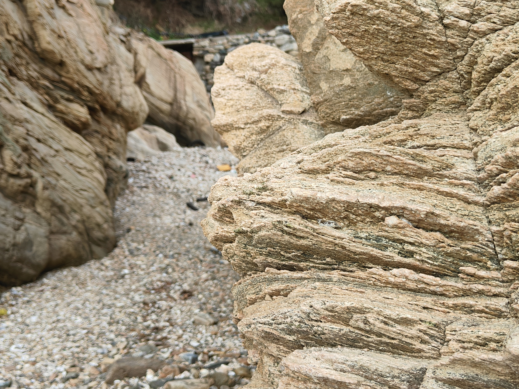 踏春,发现海浪侵蚀地貌.
