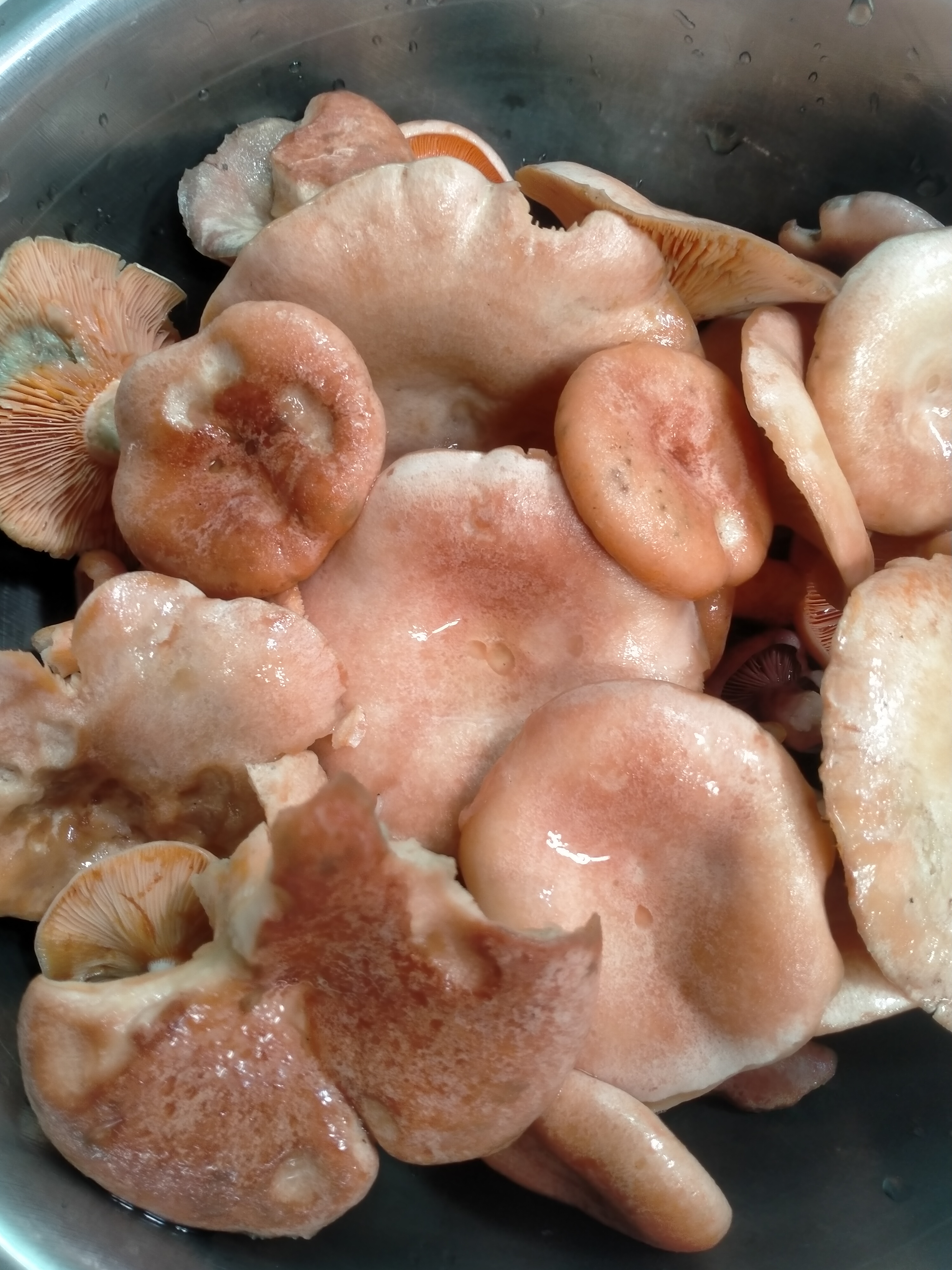 婆婆今年58岁了,我觉得她要被社会淘汰了,她的日常