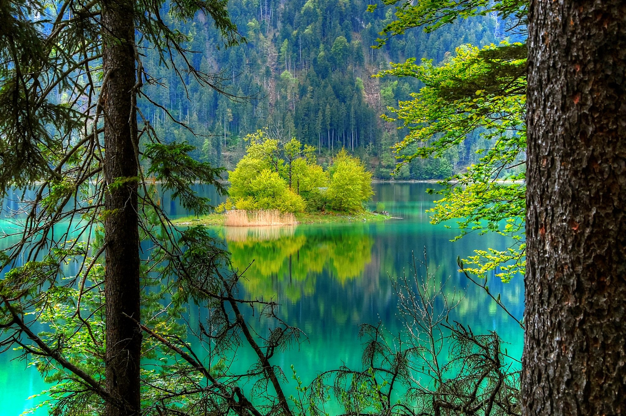 艾布湖,德国阿尔卑斯山最美的湖泊,有人称它为德国九寨沟