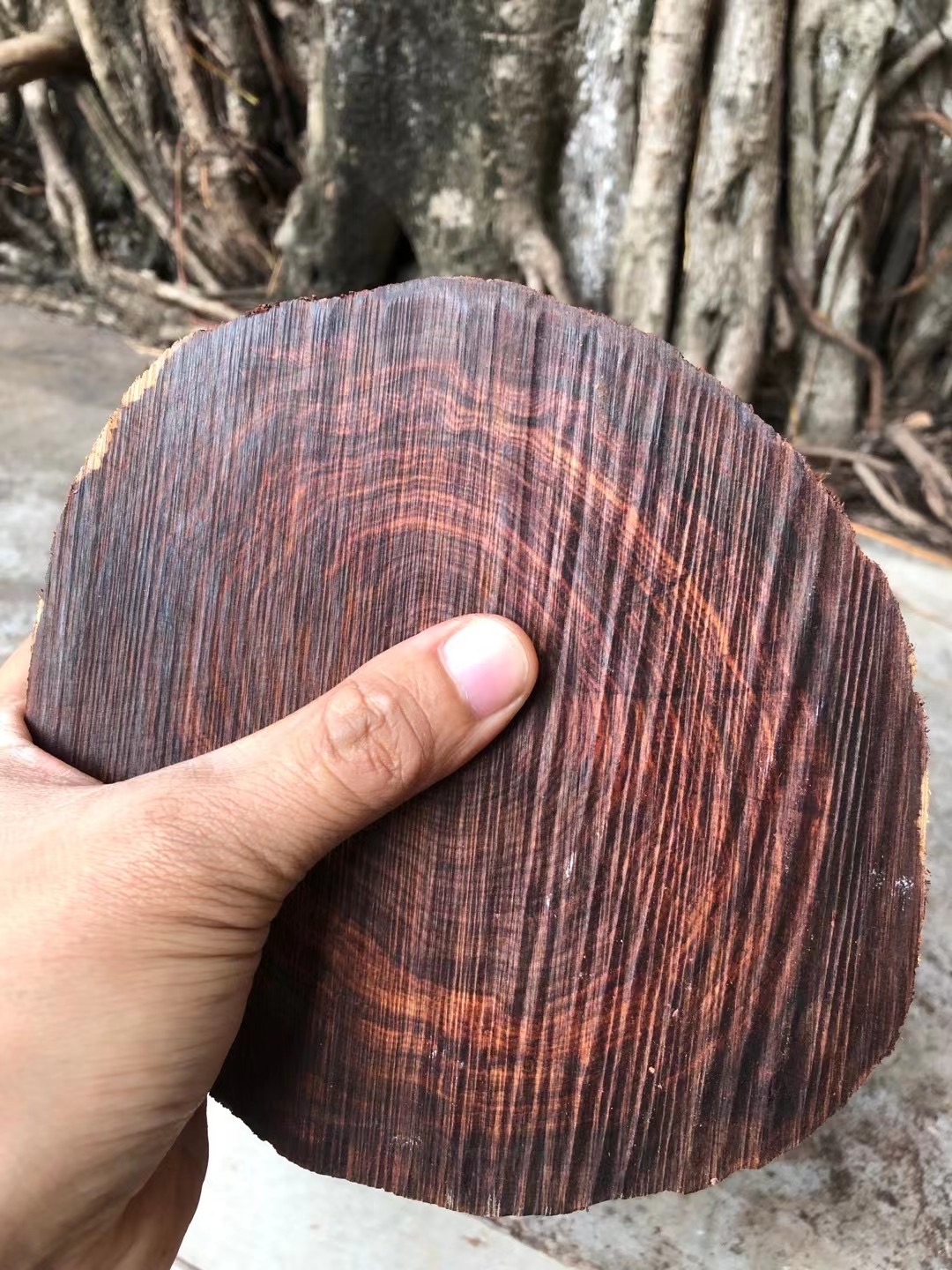 黄花梨千年大料不管是越是海精不经典我不管 我就喜欢这一款