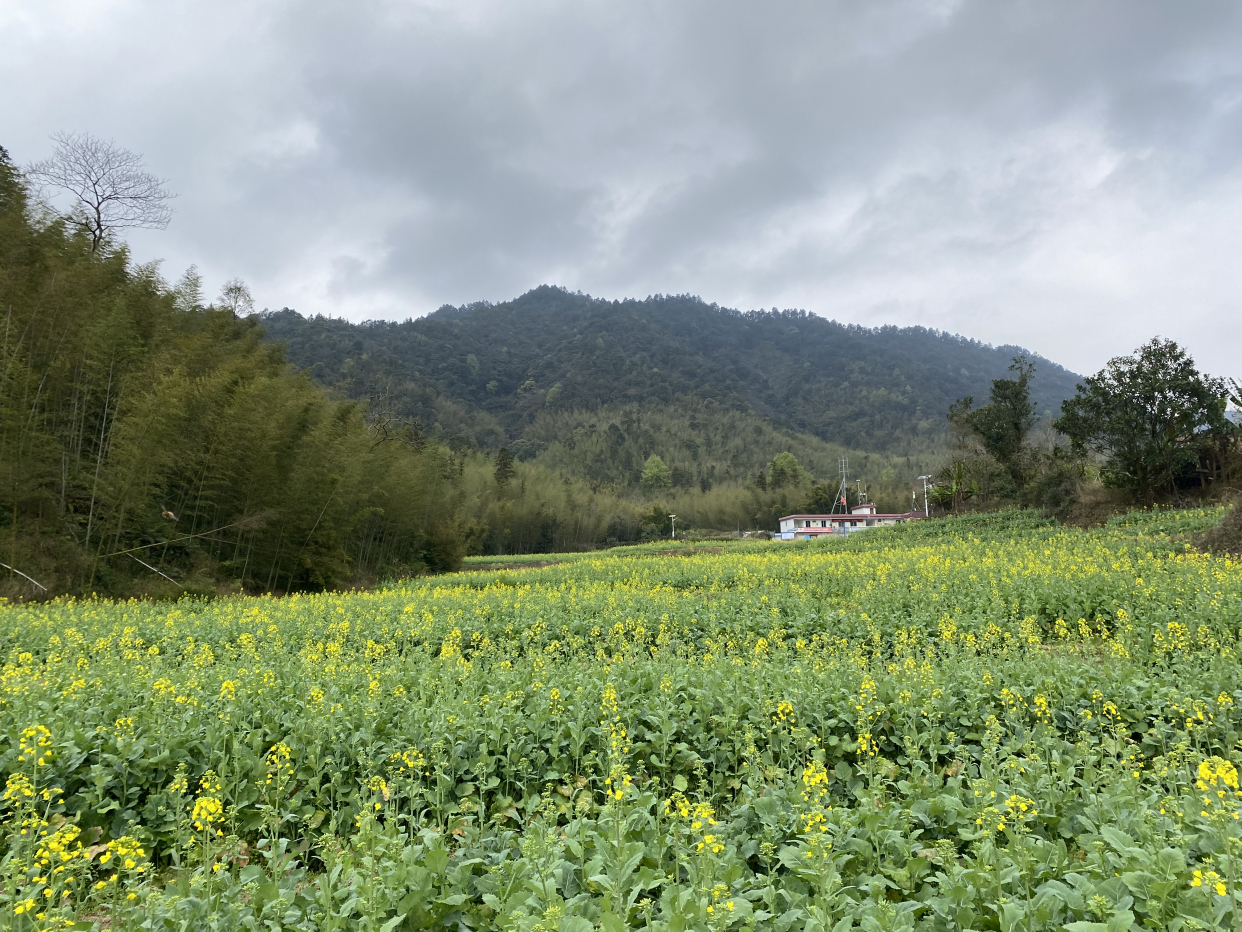 從魚洞登桂峰山(魚桂線)