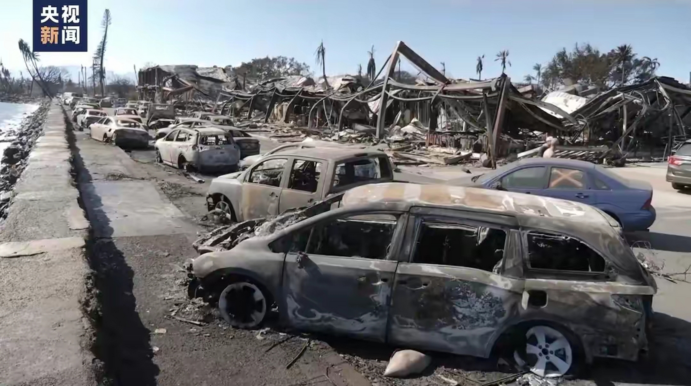 110人葬身火海,警示全球】  当地时间16日,夏威夷州长表示,毛伊岛火灾