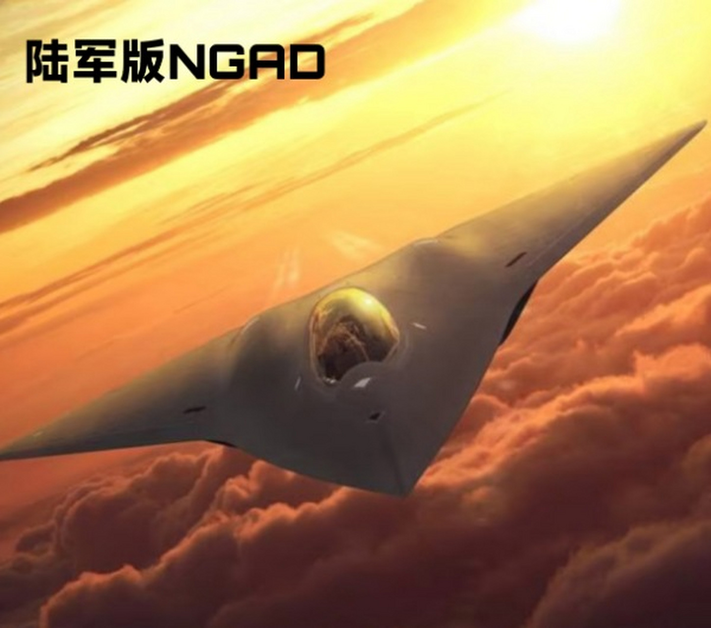 美空军和海军想独立发展第六代制空战斗机ngad,可能吗?