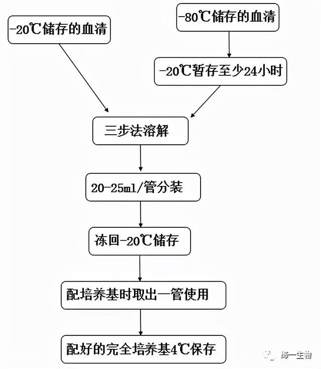 血清