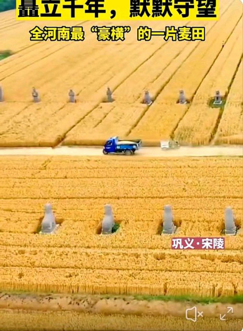 940_1280竖版 竖屏