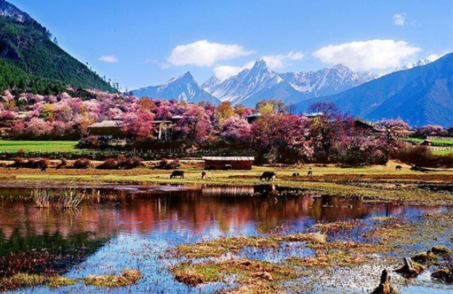就像是被喜马拉雅山脉和念青唐古拉山脉这两条巨龙所守护的宝藏