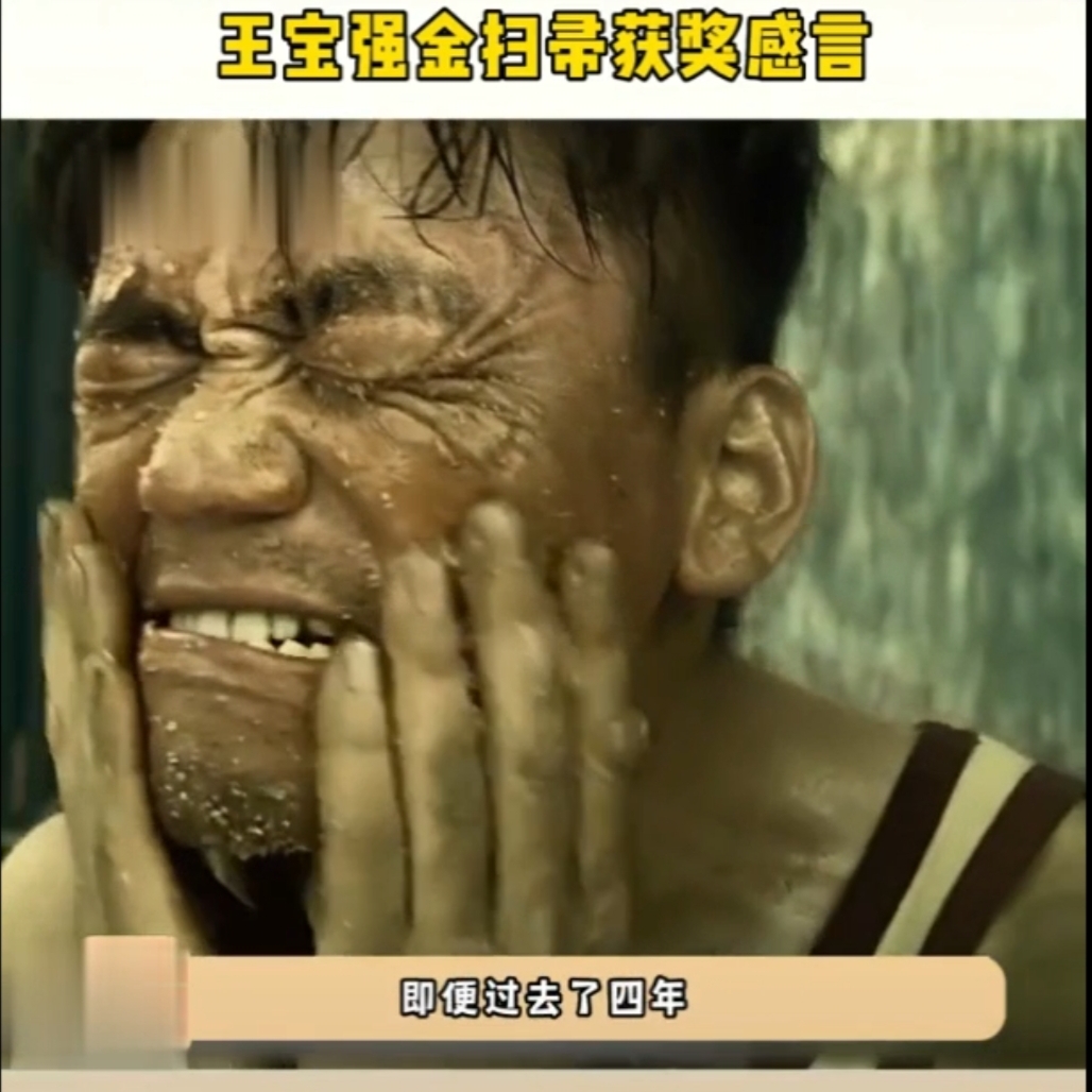 王宝强获得金扫帚奖感言