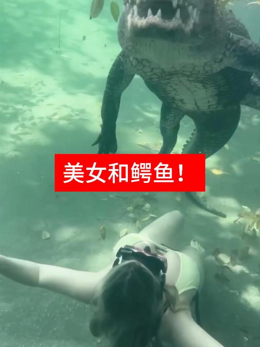 鳄鱼为什么没吃了她?