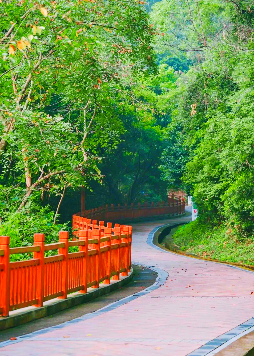 深圳鳳凰山綠道