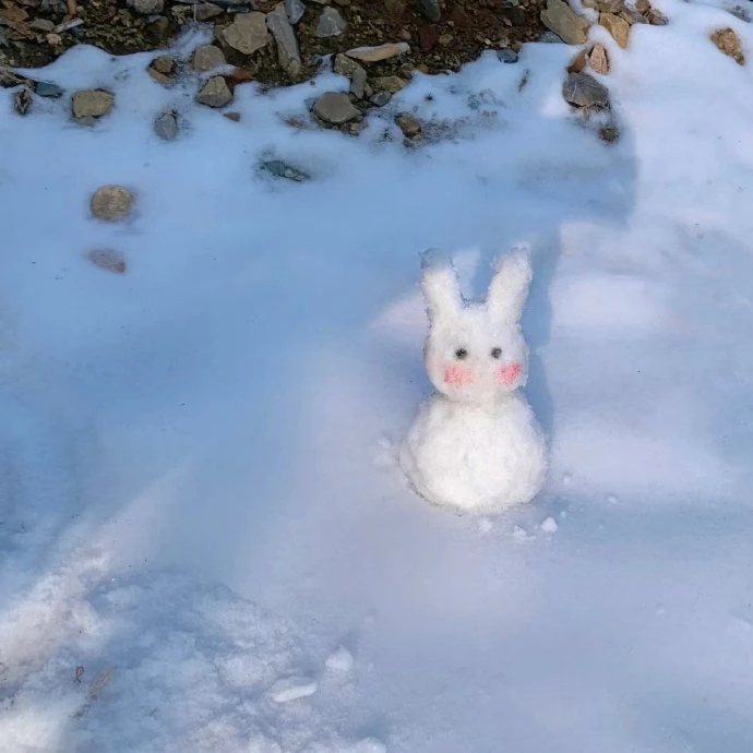 没有人能拒绝一只雪兔子,今年的雪人教科书有了!