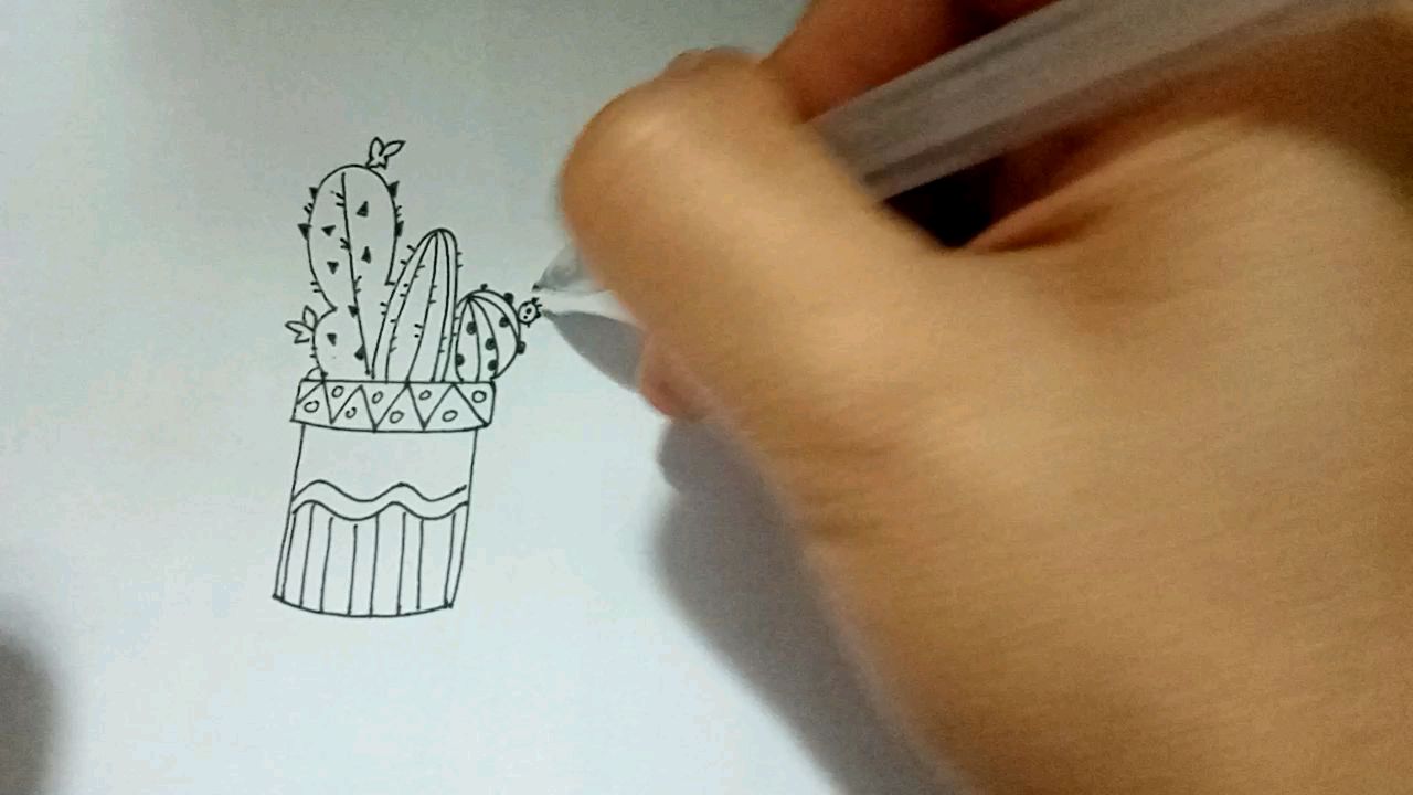 多肉仙人球仙人掌仙人柱的简笔画