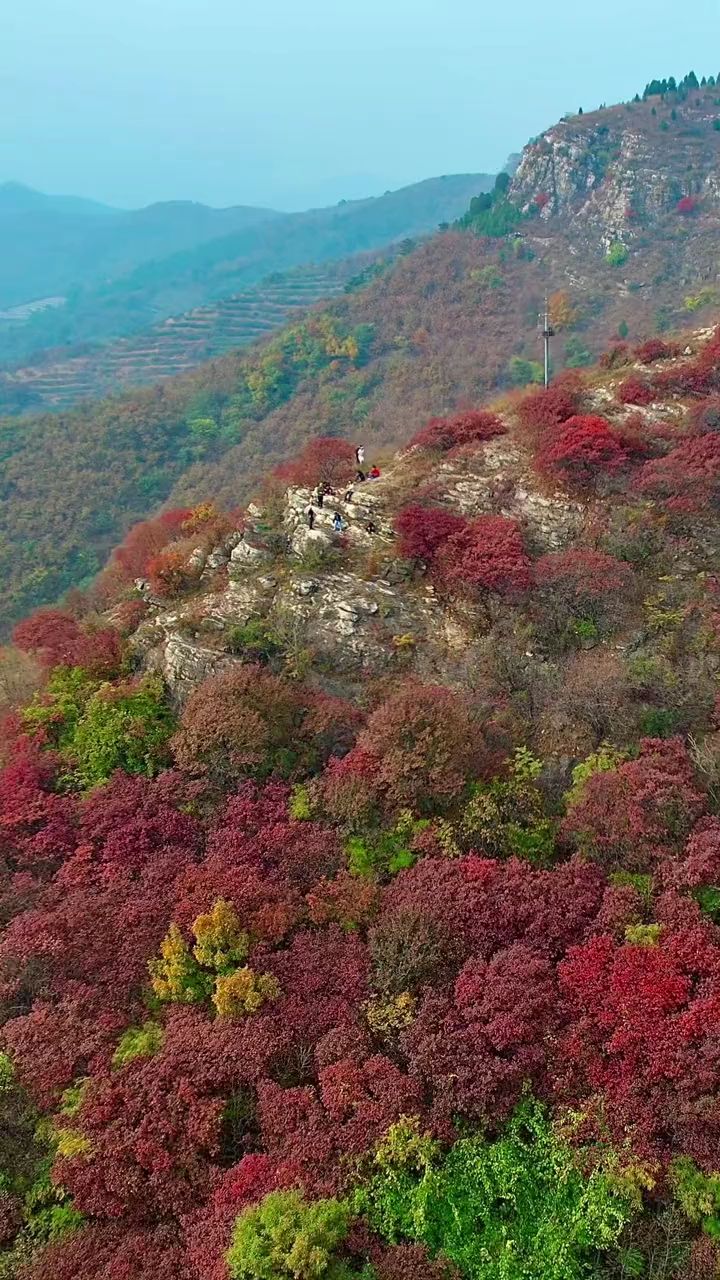 趁冬还未至,来蒙阴龙头崮看万山红遍,层林尽染的红叶吧,错过再等一年!