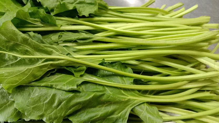 夏天多吃根达菜好处很多,武家教你好吃做法,清脆爽口,下酒下饭