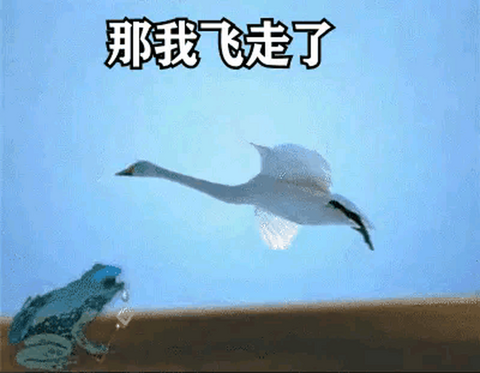 搞笑乐不停# 就这么飞走了?