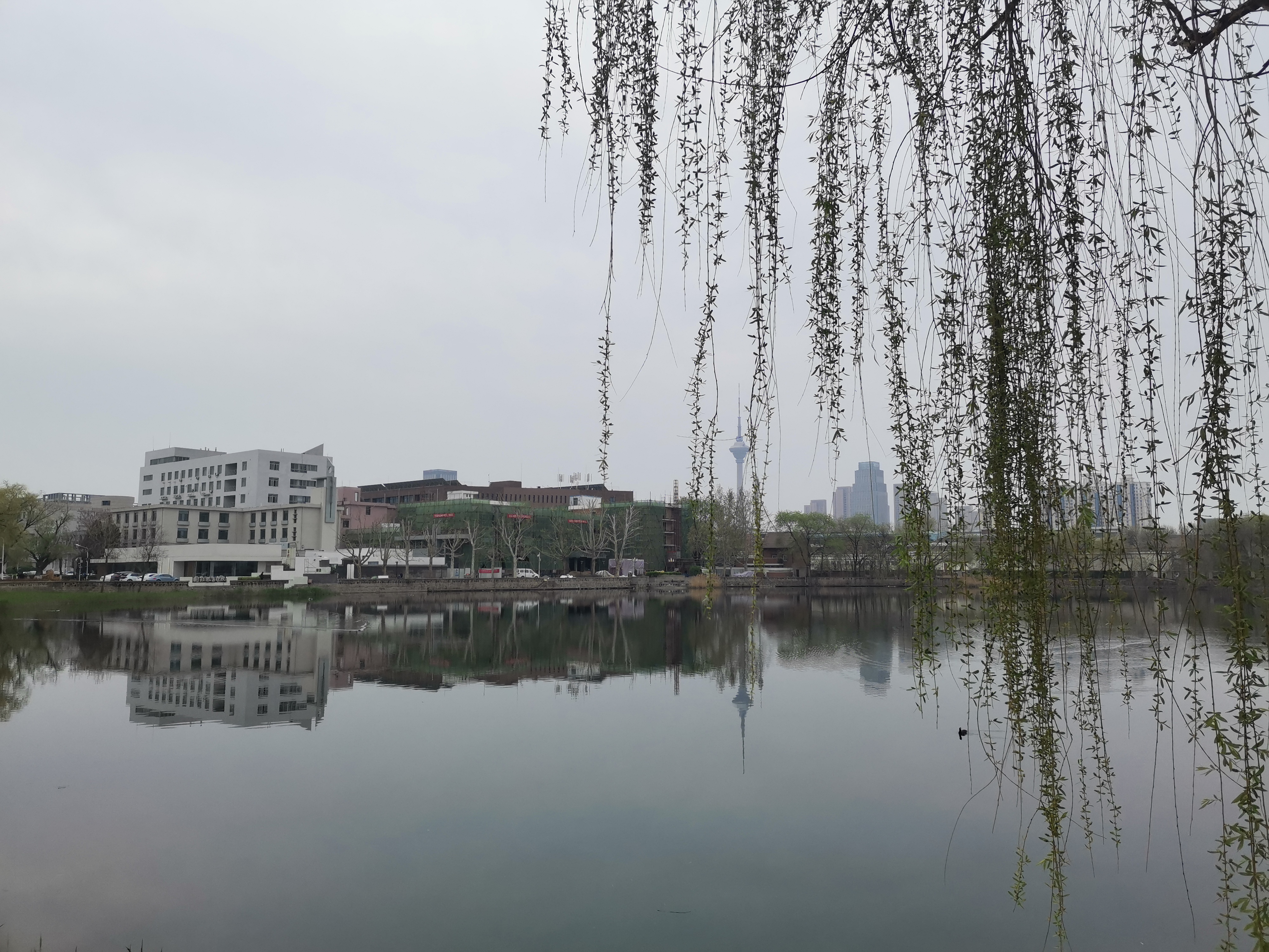 天津大学青年湖