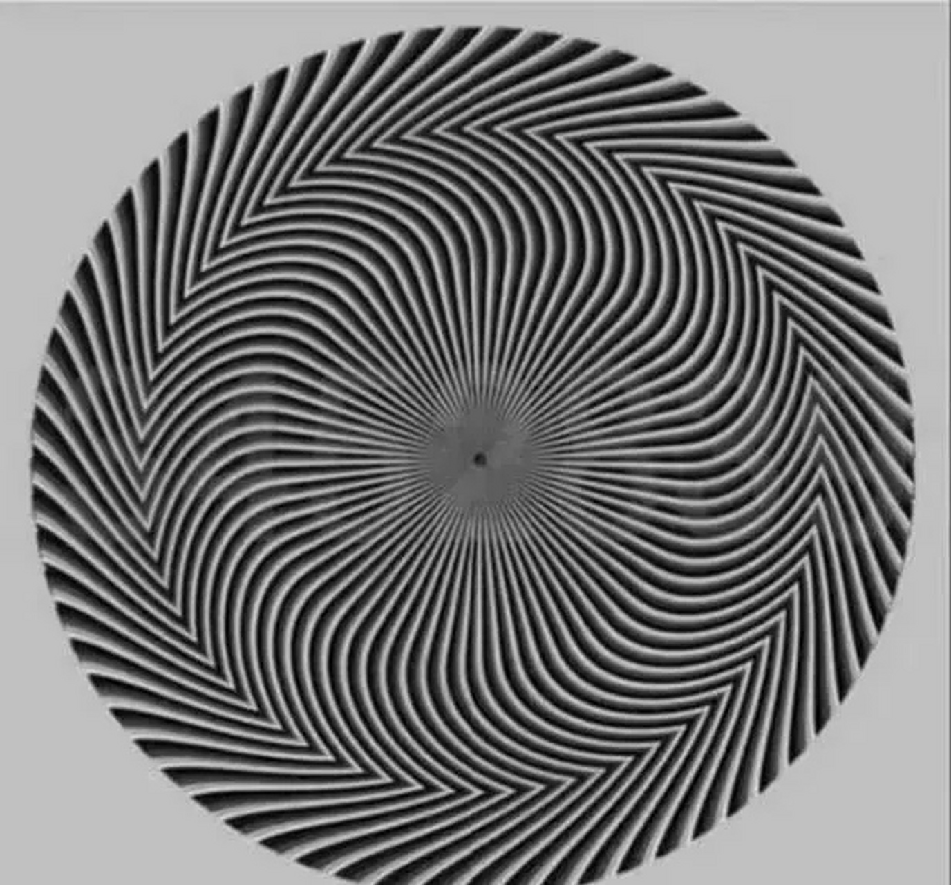 视力测试:你能看出下列图片隐藏的数字吗?测一下你是否色盲 色弱?  a.