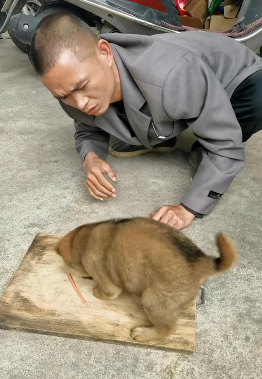 这位大哥眼睁睁的看着"良心"是怎么被狗给吃干净的