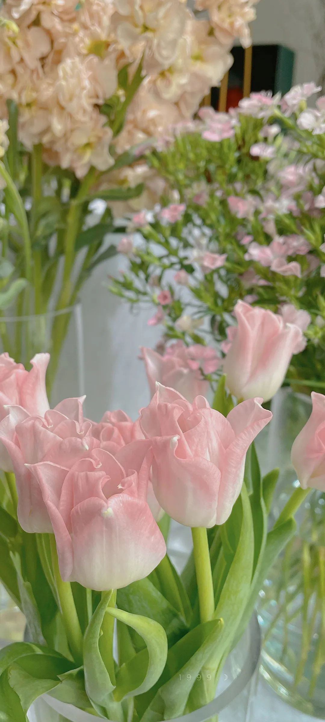 风景壁纸|花花壁纸