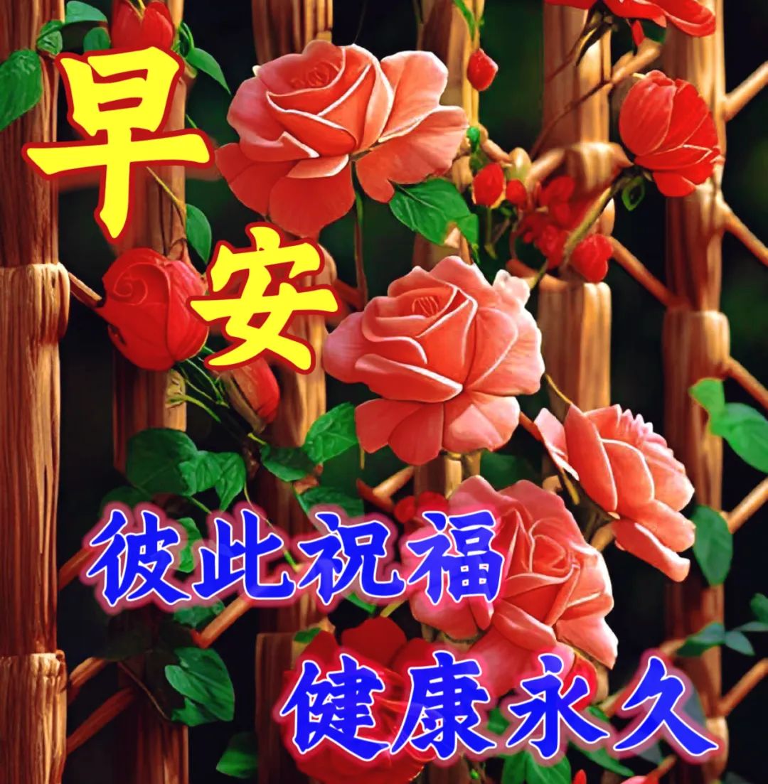 健康快乐早上好 祝福图片